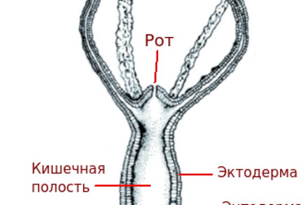 Кракен вывод средств