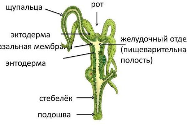 Кракен маркетплейс зайти