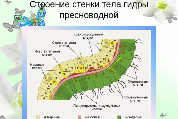 Где взять ссылку на кракен