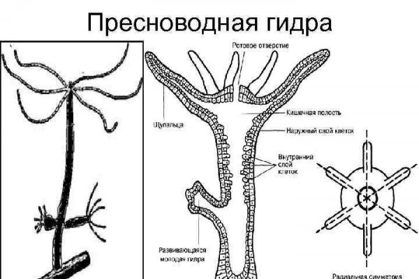 Не могу зайти в аккаунт кракен